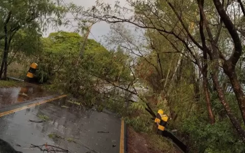 Parques �u Guas� y Metropolitano contin�an cerrados al p�blico debido a destrozos
