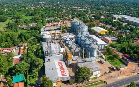 Fuga de amon�aco en Pechug�n: dieron de alta a las 8 personas que fueron afectadas
