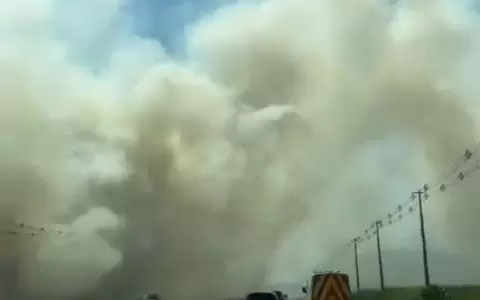 Persiste incendio forestal en Eusebio Ayala