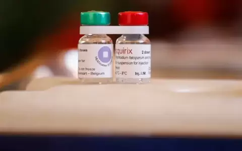 Hallan una clave inesperada en la lucha contra la malaria