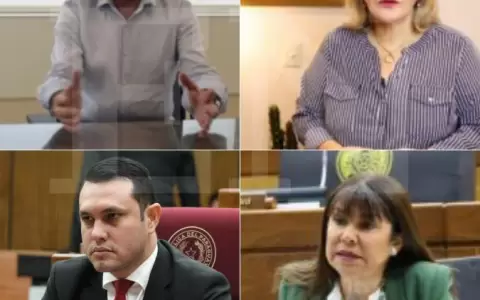 Estos ser�n los pr�ximos expulsados del Congreso, seg�n Celeste Amarilla