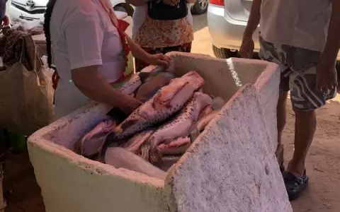 Remanso espera a los comensales con precios especiales en cortes de pescado.