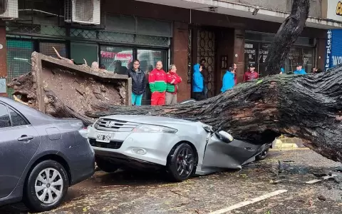 Temporal deja destrozos en Buenos Aires