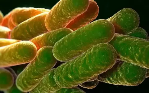 Hallan bacteria amaz�nica con propiedades anticancer�genas