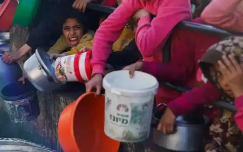 ONU reclama acceso inmediato a Gaza ante hambruna inminente