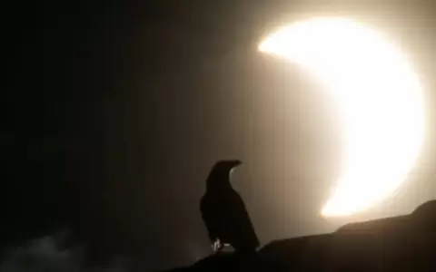 Investigar�n comportamiento de animales en eclipse de abril