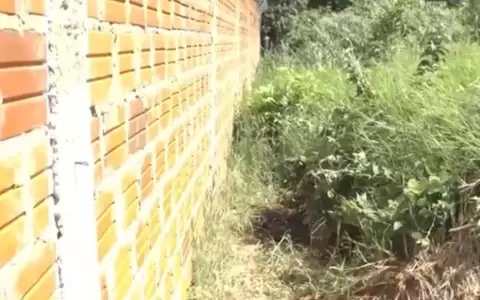 Hallan el cuerpo sin vida de una mujer en un patio bald�o de San Antonio