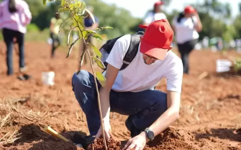 "Paraguay planta" busca sumar voluntarios en todo el pa�s en una nueva jornada de reforestaci�n