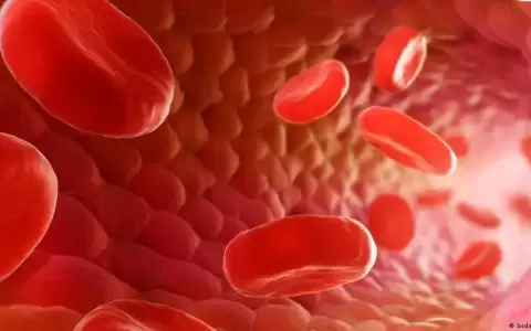 El exceso de prote�nas da�a las arterias, seg�n cient�ficos