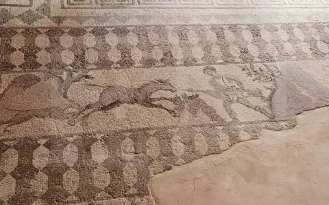 Las aves en la historia chipriota