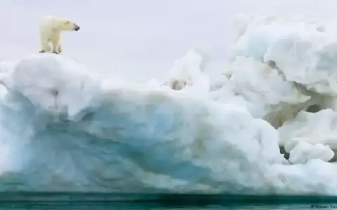 El �rtico podr�a quedarse sin hielo dentro de unos diez a�os