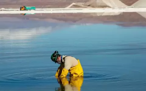 Bolivia: detr�s de Chile en exploraci�n de litio con la UE