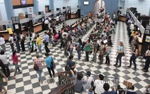 Ingresos tributarios crecieron 24,4% en recaudaci�n de febrero frente al mismo mes del 2023
