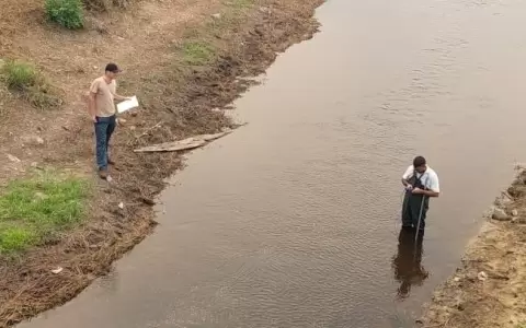 Reportan bajos niveles de agua en el lago Ypacara�