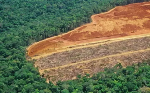 SOS contra la deforestaci�n de Nicaragua en Bruselas
