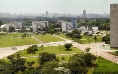 Estas son las tres universidades de Am�rica Latina que se destacan entre las cien mejores del mundo