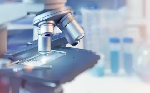 Premio Mercosur de Ciencias elegir� trabajos sobre nanotecnolog�a aplicada a la salud