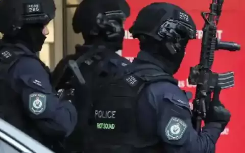 Seis personas mueren en ataque a centro comercial en S�dney