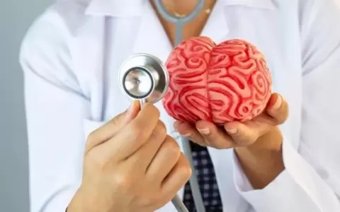 Hoy los profesionales recuerdan el D�a Mundial contra la Meningitis
