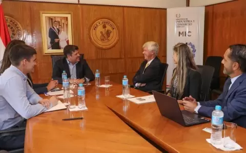 Inversores suizos planean invertir USD 200 mil en reforestaci�n en Paraguay