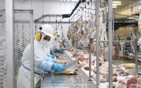 En marzo se exportaron 8.907 toneladas menos de carne paraguaya