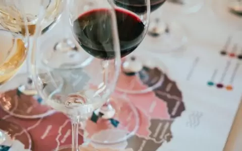 Paraguay celebra el Tannat Day
