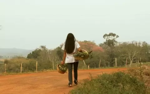 Contin�a este jueves el "Ciclo de cine: Tierra", en el Juan de Salazar