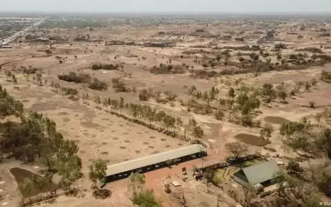 "Letal" ola de calor fue causada por el ser humano