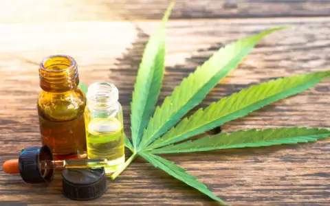 Cannabis de uso medicinal: �En qu� casos se aplica su uso y qu� dice la normativa?