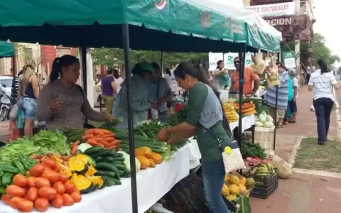 Sepa d�nde comprar productos frescos del campo en ferias de Asunci�n, Fernando y San Lorenzo
