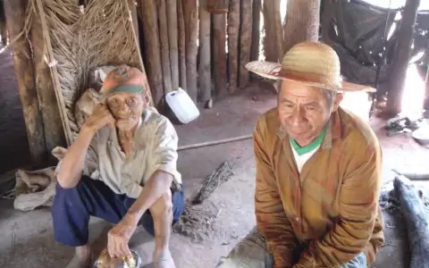 Ciclo de cine "Tierra", en el Juan de Salazar