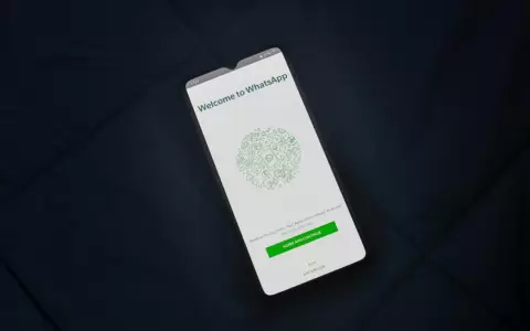 WhatsApp trabaja en su propio sistema de transferencia de archivos al estilo Quick Share y AirDrop