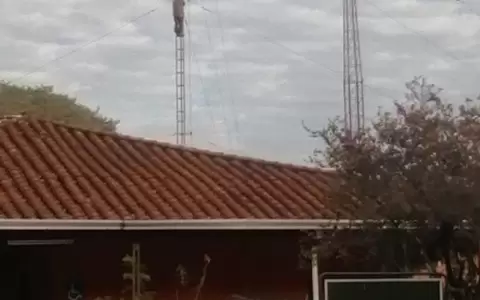 Tom� una medida extrema para clamar atenci�n para su gatito en la Facultad Veterinaria