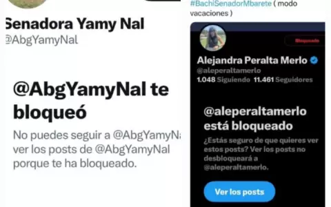 Abogada acciona contra los senadores "Bachi" N��ez y Yamy Nal Aquino por censura