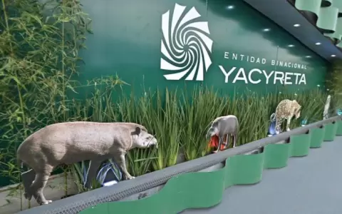Exfuncionarios de Yacyret� demandan a la entidad por despidos sin indemnizaci�n
