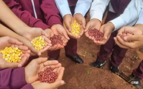 La FAO cooperar� con Paraguay e instalar� Mesas de Protecci�n Social en 22 municipios