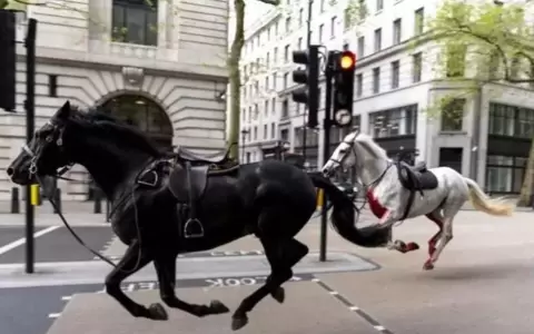 Caballos del Ej�rcito provocaron caos en Londres, hay cuatro personas heridas