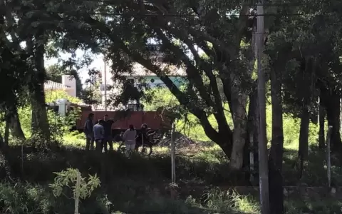 Presentar�n amparo ante inminente depredaci�n del �ltimo "pulm�n verde" en San Vicente