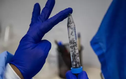 Fiebre de Oropouche: enfermedad similar al dengue se propaga por Sudam�rica