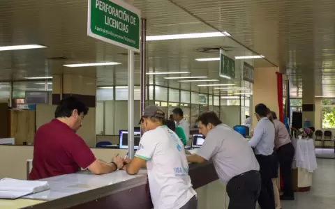 Licencias de conducir.