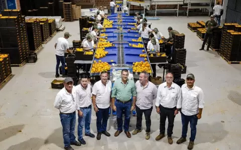 Paraguay concreta segunda exportaci�n de caqui al mercado europeo