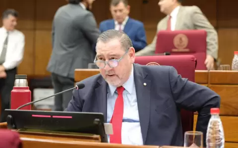 Duro cruce entre Celeste Amarilla y Javier Zacar�as Ir�n durante la sesi�n del Senado