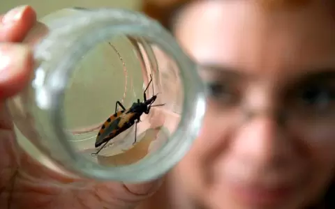 Se conmemora el D�a Mundial de la Enfermedad de Chagas