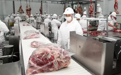 Paraguay muy cerca de exportar carne a M�xico: en mayo auditar�n los frigor�ficos