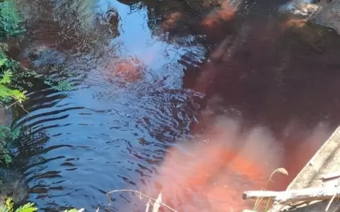 Farmac�utica ser�a responsable por aguas rojas en el arroyo San Lorenzo