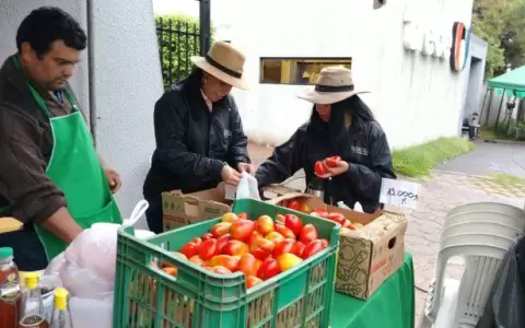 Feria de la agricultura familiar, productos frescos del campo a precios accesibles