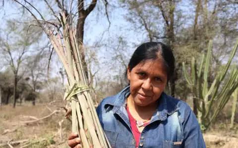 "Ayoreo. Cambio y resistencia", muestra colectiva en el Museo del Barro