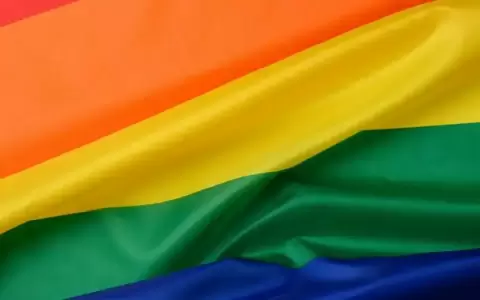 REPAR+ pide adhesi�n a observaciones de la ONU sobre poblaci�n LGBTIQ+