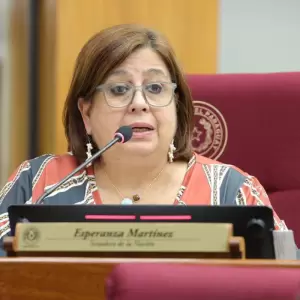 �Ministerio de la Familia?: "Que ahorren con los nepobabies", dice senadora