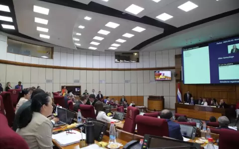 Senado rechaza pensionar personas con discapacidad que no pueden trabajar